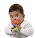 Playgro 0181598 - rattles (Multicolour, Any gender)