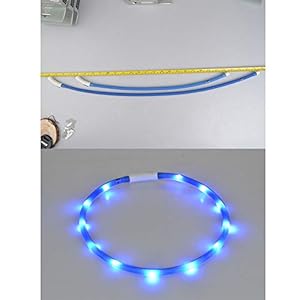 Hemore Collar para Perro LED, Recargable por USB, Collar para Mascota con luz de Noche para Perros pequeños, medianos, Grandes, Azules