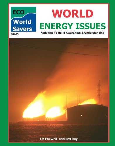 Preisvergleich Produktbild World Energy Issues (World Savers)