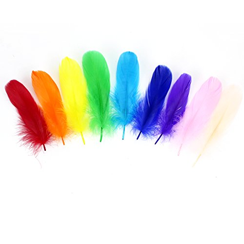Coceca 150 Stück Bunte Federn12-18cm (4,7-7 Zoll) für Kunst und Handwerk - 3