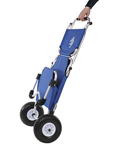 Ascan Beachbuggy Transportwagen und Sitz mit Sonnendach - 3