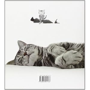 Il mio gatto ha sempre ragione