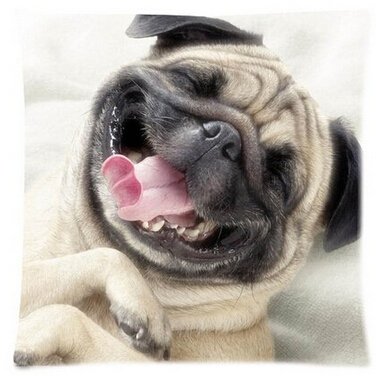 CCTUSGSH Funny Cute Pug Dog Cotton Throw Pillow Case Cushion Cover 18 X 18 Inches One Side