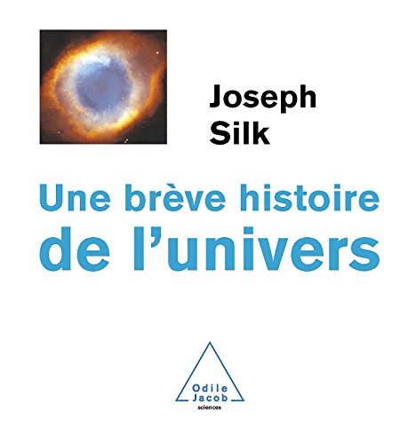 couverture de : Br&egrave;ve histoire de l'univers (Une)