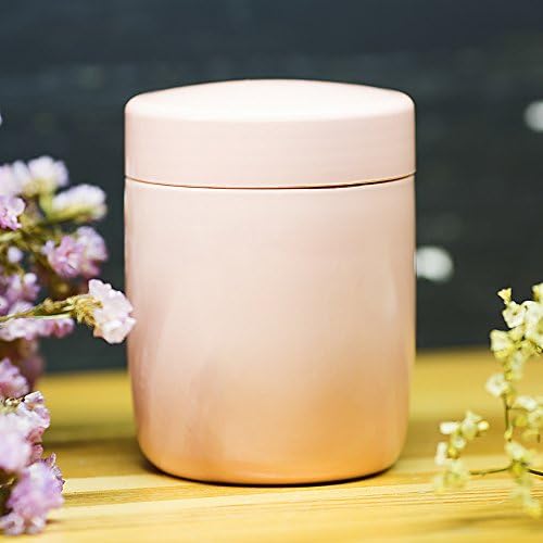 XRXY Mini Portable Smoldering Pot / Children Auxiliary Food Insulation Cup/ Student Lunch Box/ Stew Beaker ( Color : Pink )