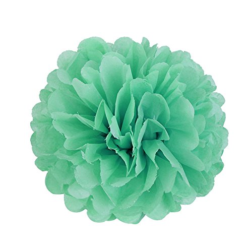 SUNBEAUTY Set Tissue Papier Pompom & Fan & Honeycomb Wabenball & Wassertropfen & Lampion Türkis Mint Serie Mixed Hochzeit Geburtstag Feier Party Dekoration - 7