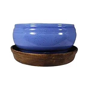 Lasaki Bowl with Tray Plate Ceramic Pots for Indoor Plants,Planters,Flower pots,gamla for Indoor,Outdoor,Balcony,Home,Garden,Office Decor,Succulent Pot (D:13 cm, H:7 cm) cir001