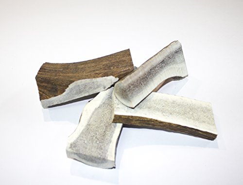 Natural-easy-antler-dog-chew-for-dogs