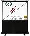Produktbild Luxburg 80" 177x100cm Full HD 3D Tragbar Kofferleinwand Mobile Leinwand Beamer Projektionsleinwand - Matt-weiße Oberfläche 16:9 (70"x 39") mit Gehäuse!