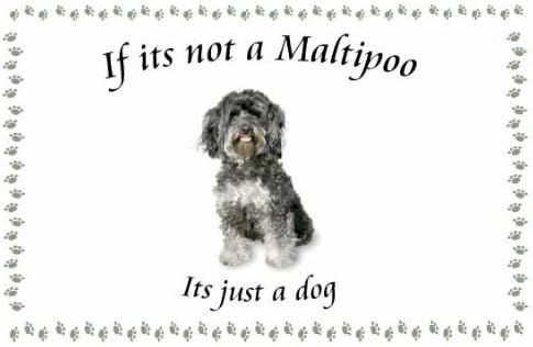 Maltipoo - Novelty Dog keyrings - If its not