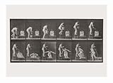Image de Eadweard Muybridge: The Complete Locomotion Photographs