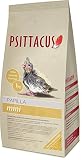 papilla aves Psittacus Papilla Mini para Ninfas, Agapornis y Periquitos 1 Kg.