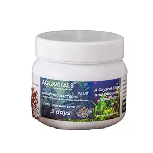 AquaVitals - NITRIFYING Bacteria - Aquarium Conditioner - for Clean and Odourless Aquariums (5 Grams (Pack of 1))