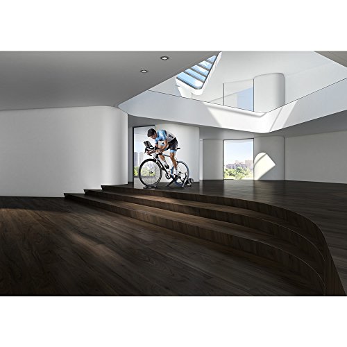Tacx Fahrradtrainer Bushido Smart, T2780 - 5