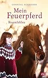 Mein Feuerpferd - Sturmfohlen (Die Mein Feuerpferd-Reihe, Band 2) by 