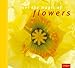 Feel the magic of flowers by 