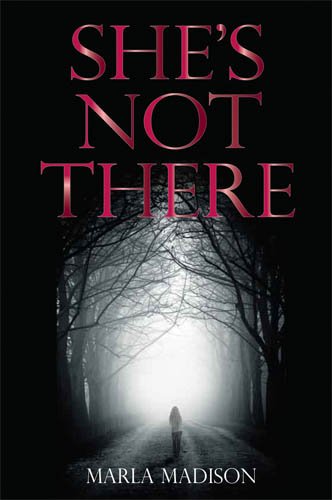 She's Not There (TJ Peacock & Lisa Rayburn Mysteries Book 1) (English Edition) livre
