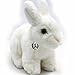 Produktbild Häschen FEE Hase Bunny Kaninchen weiß 19 cm Plüschtier von kuscheltiere.biz