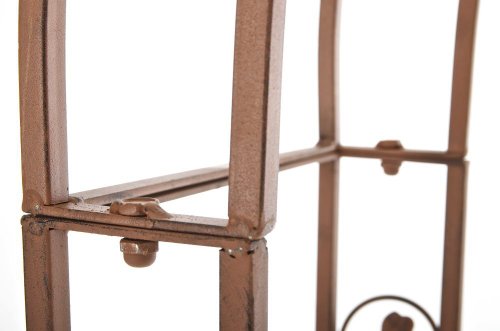 CLP Metall-Rosenbogen SUMMER, Eisen pulverbeschichtet, 125 x 30 cm, Höhe 236 cm antik braun - 9