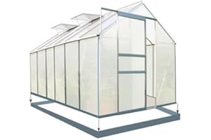 Ezooza Serre en polycarbonate alvéolaire 6 mm Oslo 190 x 380 cm avec fondation