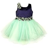 Wish Karo Party wear Baby Girls Frock Dress DN1006 RS.999 (67.00% Off) - Amazon