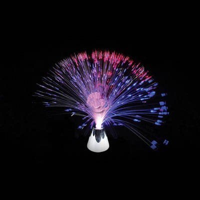 FIBER OPTIC VISUAL STIMULANT FOR SENSORY INTEGRATION by THE SENSORY UNIVERSITY