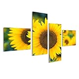 Zu jedem Bild erhalten Sie kostenlose Wandaufhänger. Die sogenannten Zackenaufhänger können Sie einfach an den Rückseiten montieren. Eine bebilderte Anleitung und ein Online Video erleichtern die Positionierung. So können Sie Ihr neues Leinwandbild schnell an der Wand aufhängen und genießen. Wir liefern alle Produkte innerhalb Deutschlands in 2-3 Arbeitstagen. Das Bild wird sicher in Schaumfolie verpackt und in extra für uns hergestellten Kartons geliefert.