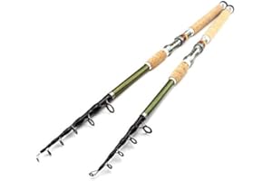 GNERIC YMYGBH Canne A Peche Mer 2.1m 2.4m 2.7m 3.0m 3.6m pêche télescopique Rod Carbone poignée en Bois Canne à Lancer Extra Lourd Pêche à la Carpe Pôle Mer Tackle (Size : 2.7 m)