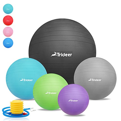 45 cm à 85 cm Ballon Suisse de gym avec Pompe, Trideer® 500KG Anti-Eclatement / différentes couleurs Ballon de gymnastique (Noir, 65cm)