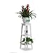 Produktbild Blumentreppen Massivholz Blume Rack Wohnzimmer Schlafzimmer Boden Stil, Weiß, Europäisch 2 Layer Bonsai Pflanze Rack (größe : Three-Tier Flower Shelf)