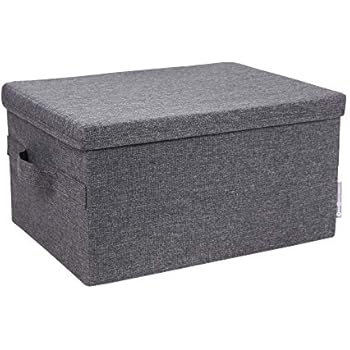 Bigso Box of Sweden Aufbewahrungsbox mit Deckel – große Klappbox für