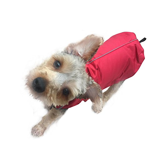 DAZONE-Safety-Vest-Reflective-Running-Outdoor-Waterproof-Hooded-Winter-Coat-for-Puppy-Dog-Cat