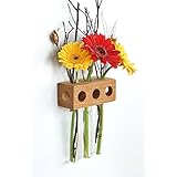 Fenstervase Eiche 3er Blumenvase Test Tube Vase Flower Vase