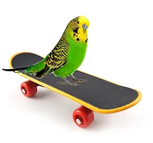 Sage Square Mini Training Skateboard for Parrot, Cockatiel, Lovebird, Budgerigar