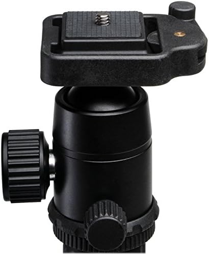 TERRA FIRMA TRIPODS T-BH100 Ball head with quick release, Black