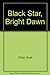 Black Star, Bright Dawn by Scott O'Dell, Klein