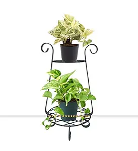 GIG Handicrafts Modern Metal Plant Stand Pot Holder Pot Shelf Living Room Outdoor (28 cm x 28 cm x 49 cm, Black)
