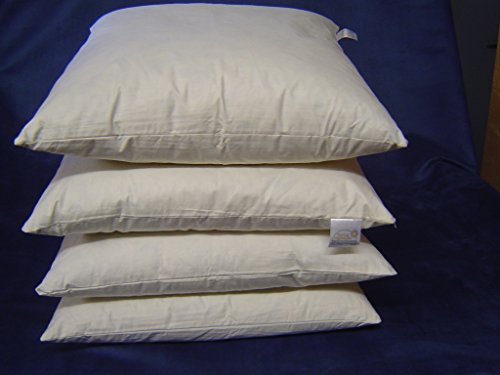 4 x TOP Sofa Federkissen 45x45 cm (echte Federn) Kissenfüllung Füllkissen Sofakissen Dekokissen Couchkissen Kissen 45 x 45 cm TI-PO-Sparpack
