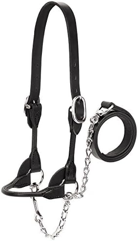 Weaver Leather Livestock Dairy/Beef Rounded Show Halter