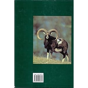 LA Caza: One Volume