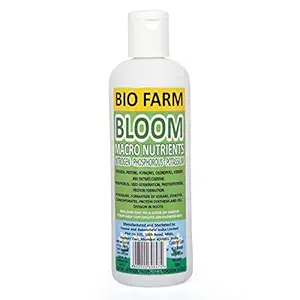 FRESNO JUST BRITE Rabbit Bloom Fertilizer-3PCPACK