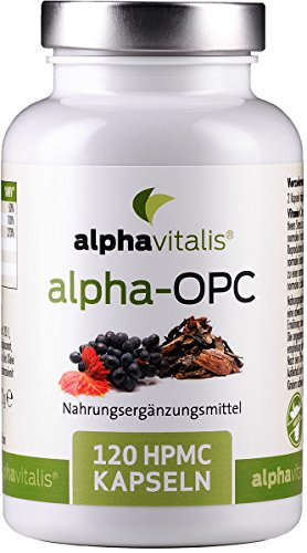 Preisvergleich Produktbild Hochdosierter OPC Komplex für aktive Menschen - Traubenkernextrakt + Pinienrindenextrakt + Haferextrakt (Avena sativa) - Zink - Selen - 120 Kapseln