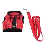 ★ REGALO PERFECTO - El arnés de estilo chaleco es el tipo seguro y cómodo para tu conejito. Este chaleco para todo tipo de clima no será demasiado voluminoso para restringir el movimiento de su mascota o sobrecalentar a su adorable conejo cuando haga calor.
