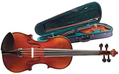 Stagg VN4/4 Violon en érable massif avec étui