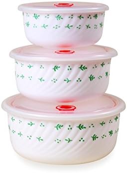 Food containers Heat - Resistant Glass Porcelain Sealed Lid Crisper Glass Lunch Boxes Microwave Lunch Boxes Crisper Food storage containers