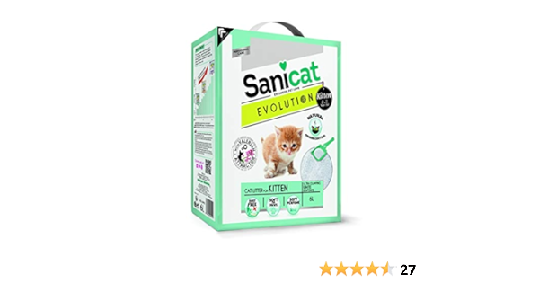 Sanicat Evolution Kittens 6 L Amazon De Pet Supplies