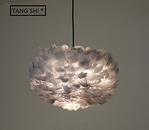 Federn Pendelleuchte,? 40 CM Deko Licht mit Feder Retro Lampe Für Zuhause,Hotel,Schlafzimmer,Esszimmer,Einzigartig Beleuchtung Dekoratives