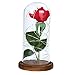 Produktbild samLIKE Eternal Rosen Ewige Rose Licht mit Glas Lampenschirm Rose unter Glasglocke mit LED-Licht und Holzboden, Geschenk für Valentinstag/Geburtstag/Muttertag/Weihnachten (Braun)