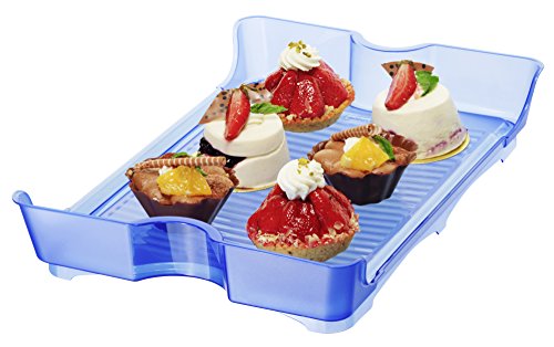 rotho 1760506651 Partybutler Partycontainer Cool und fresh aus Kunststoff PP, ideal zum Transportieren Kühlen von Lebensmitteln, mit Tragegriff und Kühlkissen, circa 43,5 x 29,5 x 11 cm (LxBxH), transparent / blau - 3