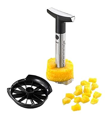 GEFU GE13500 Professional Coupe-Ananas Acier Inoxydable Inox 11 x 10 x 25 cm